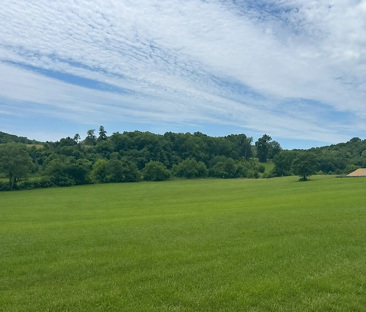 0 Johnny Bennett Rd, Thompsons Station, TN 37179 - #1