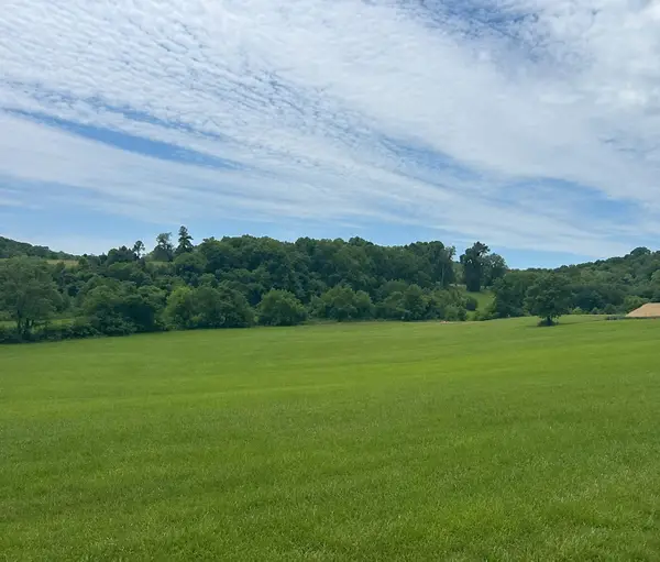 0 Johnny Bennett Rd, Thompsons Station, TN 37179