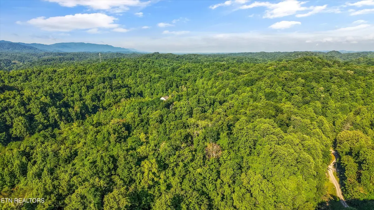 1717 Long Branch Rd, Seymour, TN 37865 - #1