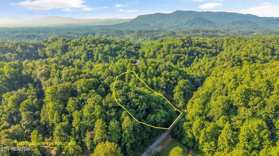 1717 Long Branch Rd, Seymour, TN 37865 - #2