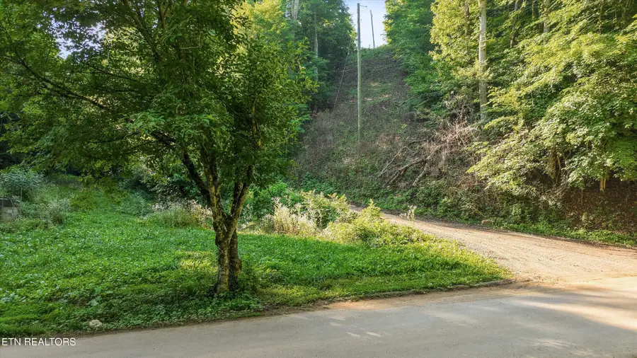 1717 Long Branch Rd, Seymour, TN 37865 - #3