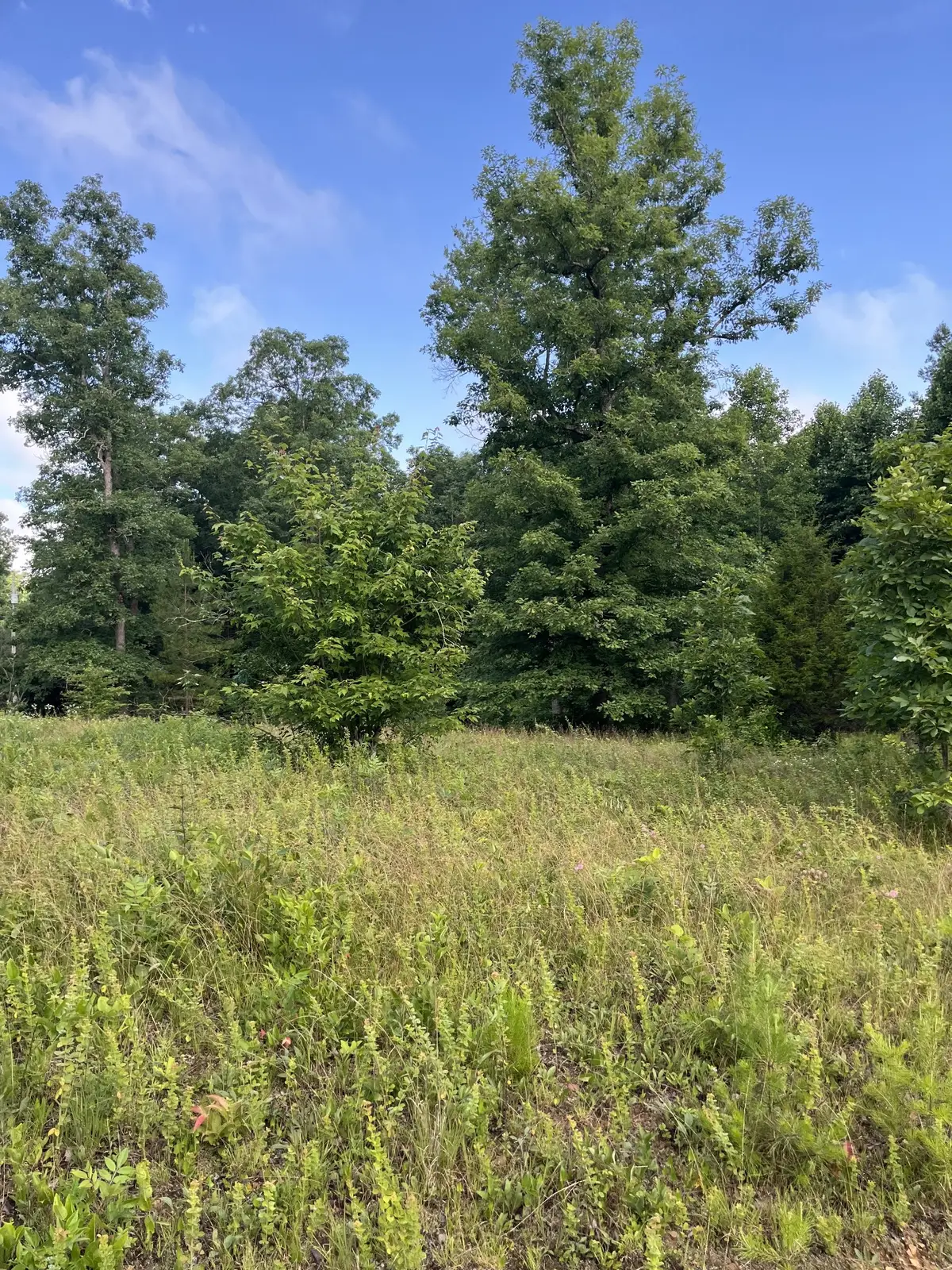 0 Henley Drive, Altamont, TN 37301 - #1