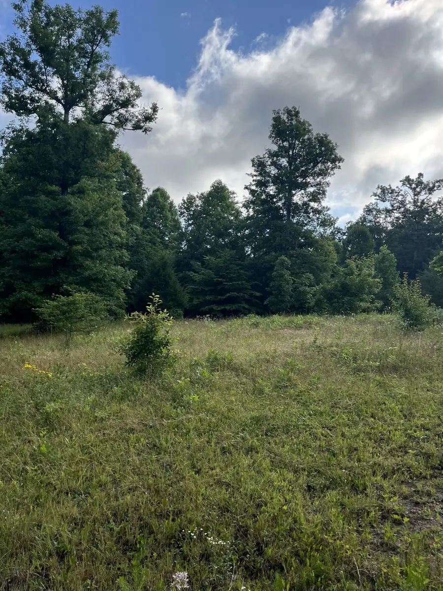 0 Henley Drive, Altamont, TN 37301 - #2