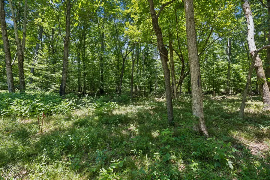 9346 Christiana Fosterville Rd, Christiana, TN 37037 - #3