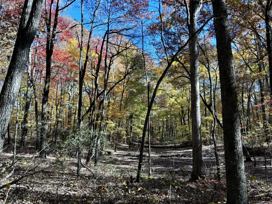 0 Harrison Ferry Rd, McMinnville, TN 37110 - #3