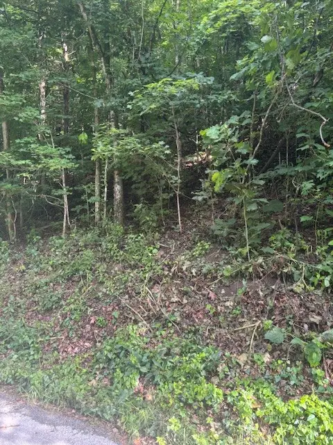 0 Seymour Hollow Road, Whites Creek, TN 37189 - #3