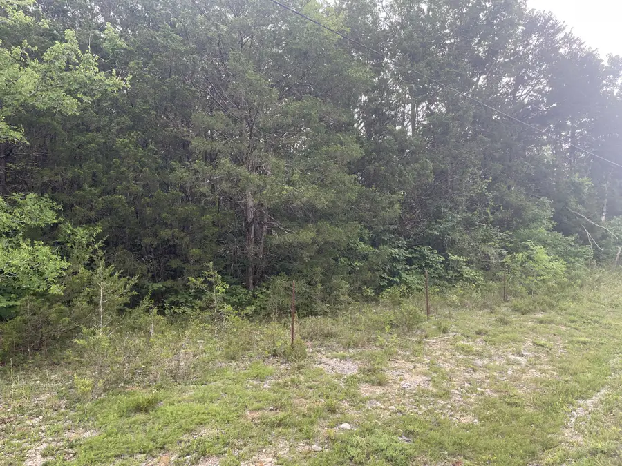 3822 Bivens Hill Rd, Readyville, TN 37149 - #2
