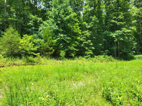 0 Mt Carmel Rd, Mosheim, TN 37818