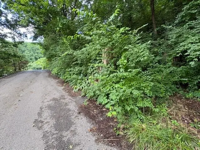 163 Dal Brown Road, Chattanooga, TN 37405 - #2