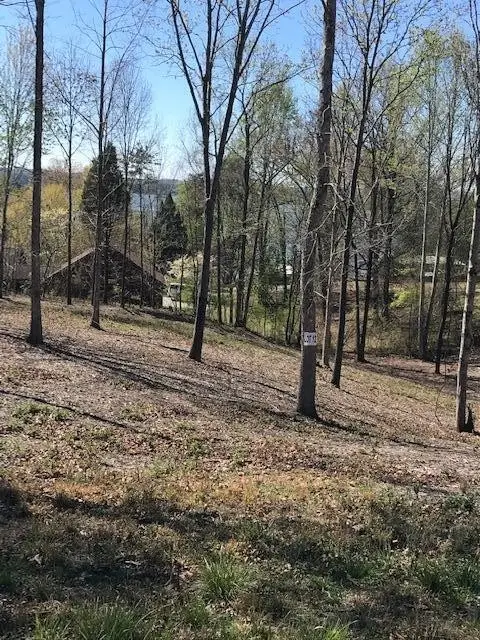 12 Piney View Drive, Spring City, TN 37381
