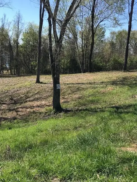 10 Piney View Drive, Spring City, TN 37381