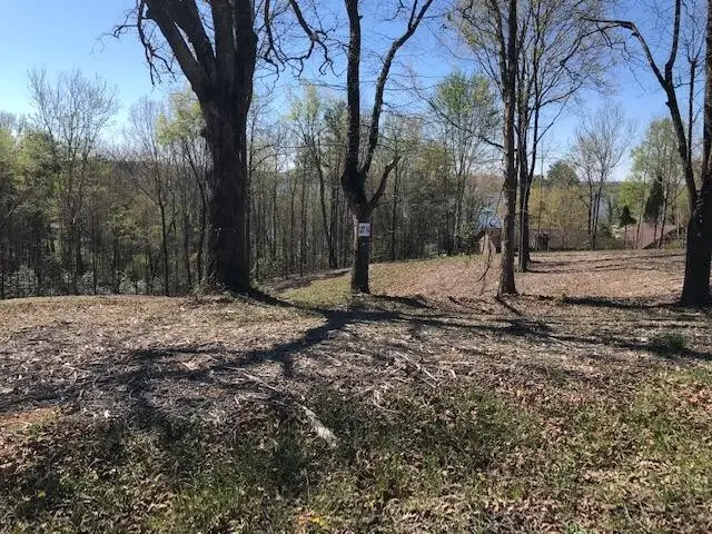 14 Piney View Drive, Spring City, TN 37381 - #1