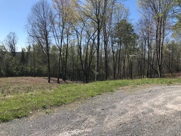 9 Piney View Drive, Spring City, TN 37381