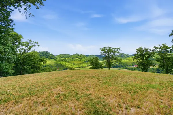 0 Pleasant Shade Highway, Pleasant Shade, TN 37145