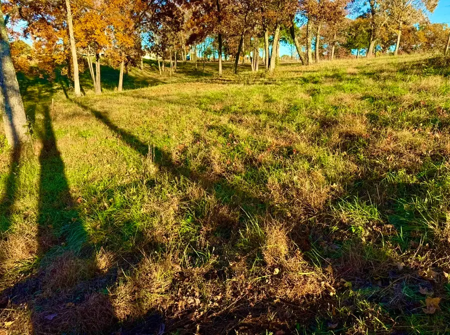 0 Short Mountain, Smithville, TN 37166 - #3