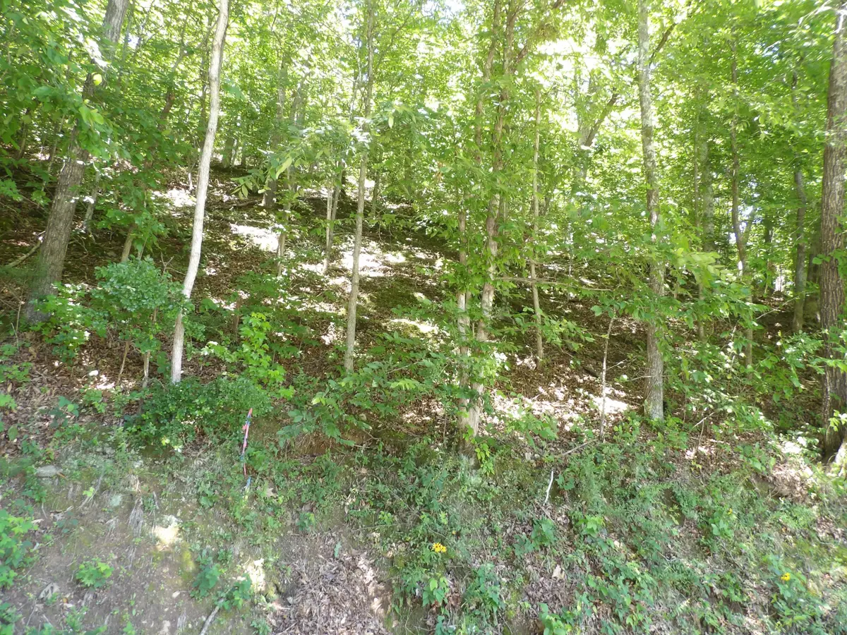 587 W Little Richland Rd, Waverly, TN 37185 - #1