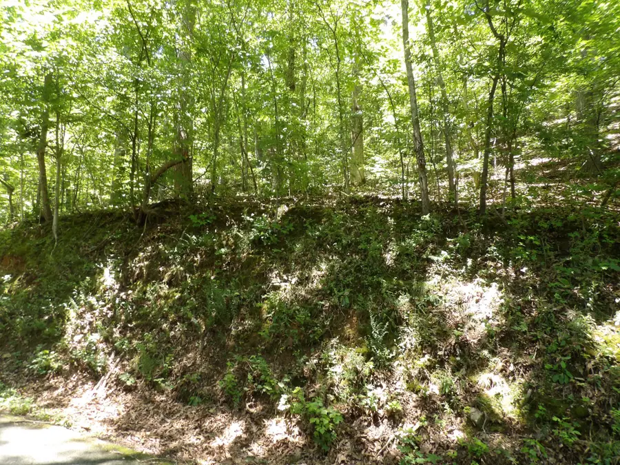 587 W Little Richland Rd, Waverly, TN 37185 - #2