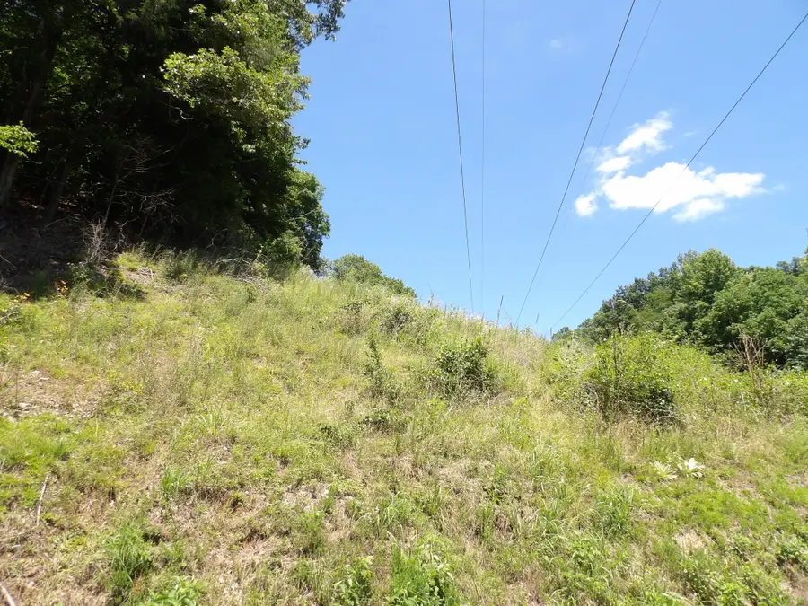 587 W Little Richland Rd, Waverly, TN 37185 - #3