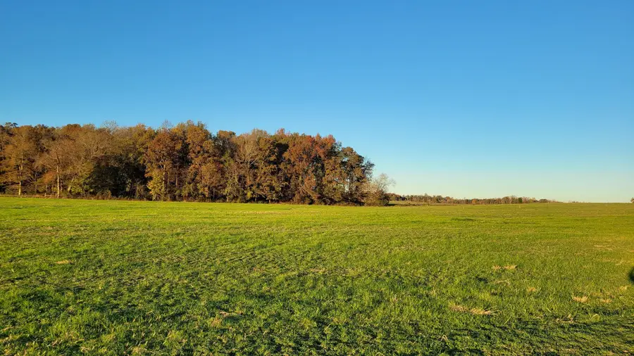 11 Ira Darby Prater Hwy, Woodbury, TN 37190 - #3