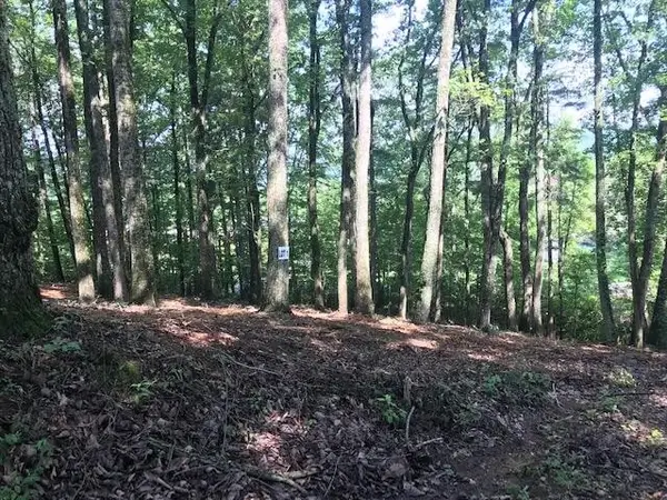 25 Piney Knob Drive, Spring City, TN 37381