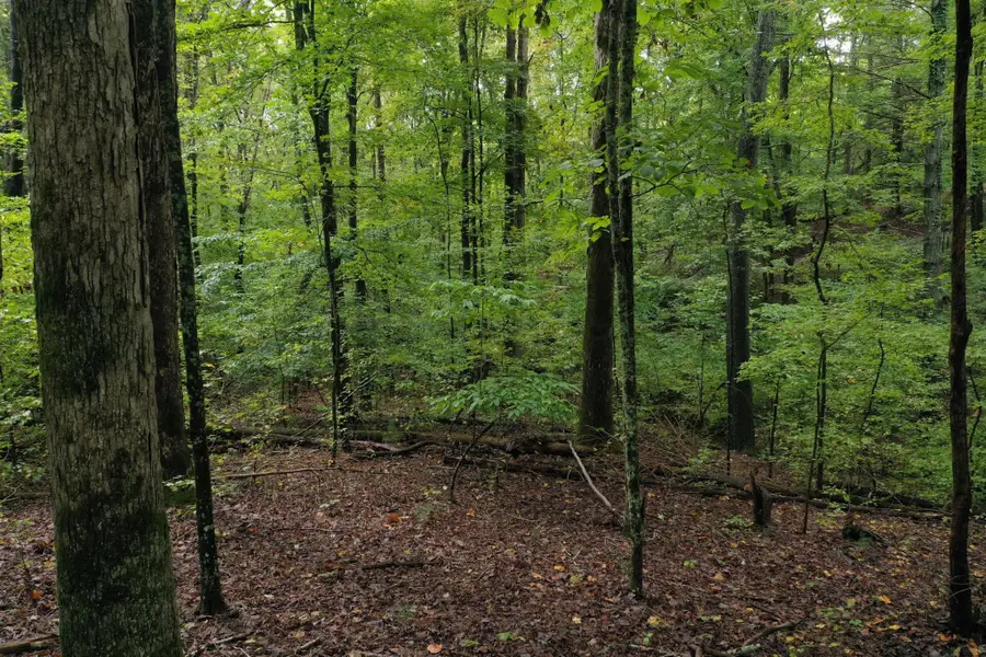 0 Fawnwood, Spring City, TN 37381 - #2