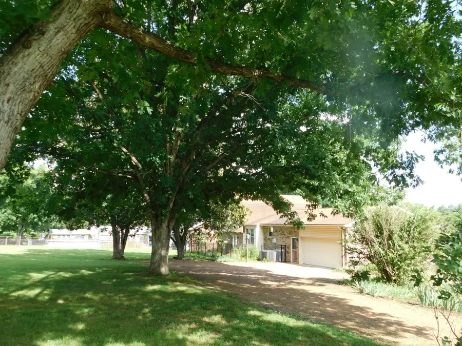 319 Harsh Ln, Castalian Springs, TN 37031 - #3