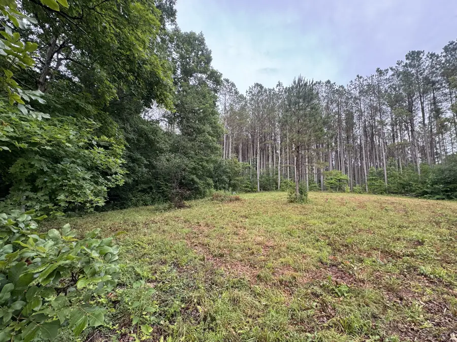 0 Johnson Hollow Rd, Stewart, TN 37175 - #3