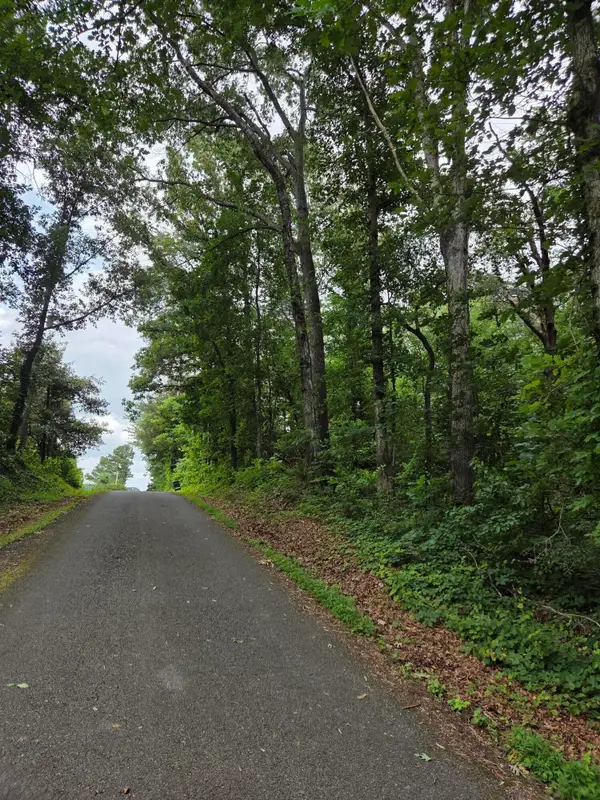 0 Co Rd 156, Riceville, TN 37370