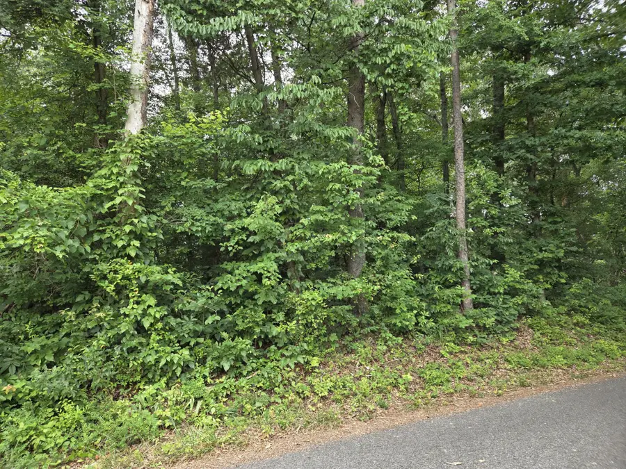 0 Co Rd 156, Riceville, TN 37370 - #2