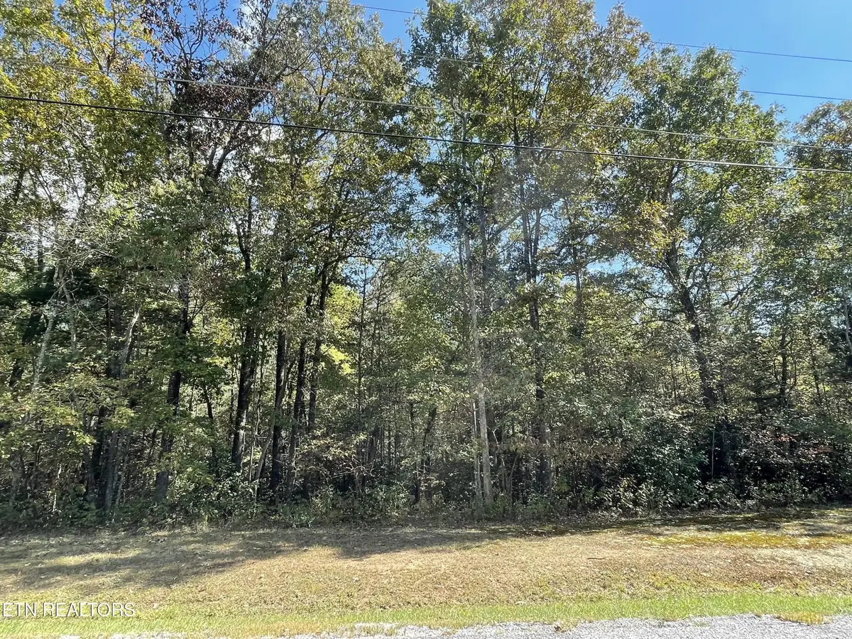 130 Stillington Loop, Crossville, TN 38558 - #1