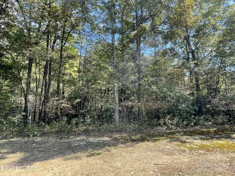 130 Stillington Loop, Crossville, TN 38558 - #3