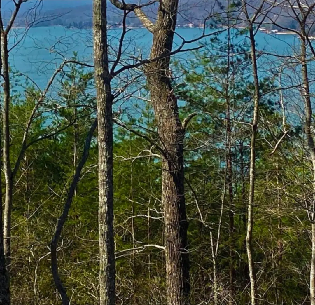 1 Branham Rd, Ten Mile, TN 37880 - #1