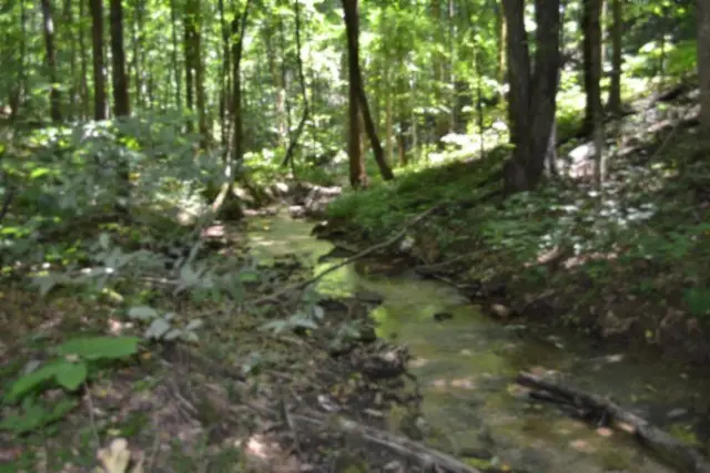0 Pea Ridge Fire Tower Rd, Celina, TN 38551 - #3