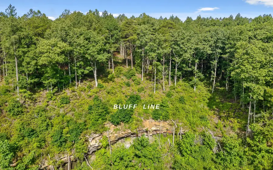 2142 Top Shelf Street, Guild, TN 37340 - #3