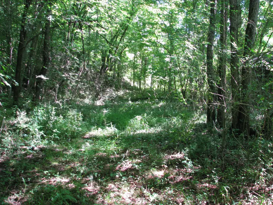 0 Matthews Hollow Rd, Waverly, TN 37185 - #2