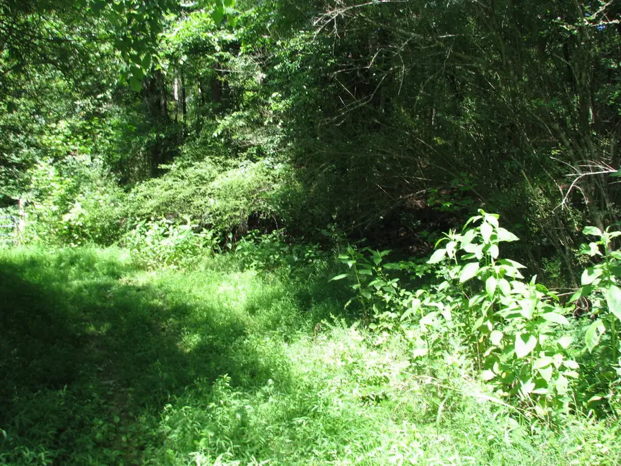 0 Matthews Hollow Rd, Waverly, TN 37185 - #3