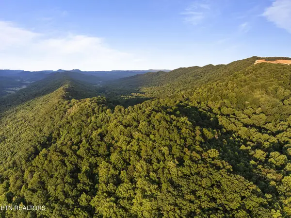 0 Spruce Pine (330 Acres) Rd, Mooresburg, TN 37811