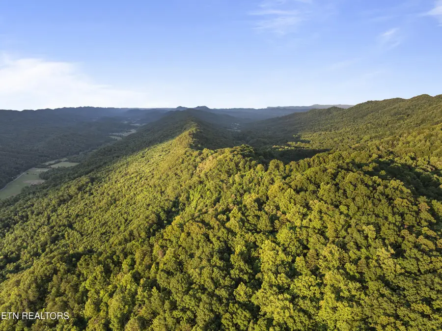 0 Spruce Pine (330 Acres) Rd, Mooresburg, TN 37811 - #3
