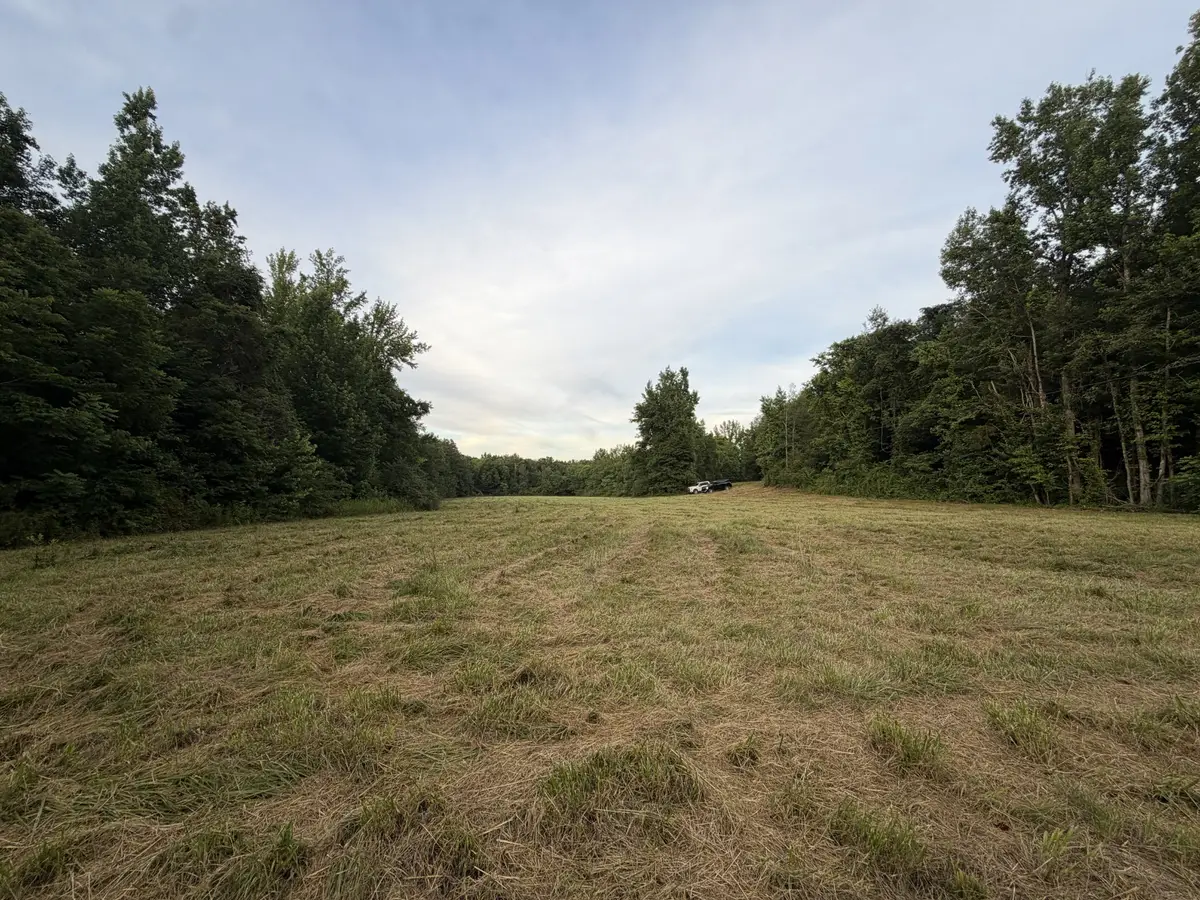 0 Dry Branch Rd, Holladay, TN 38341 - #1