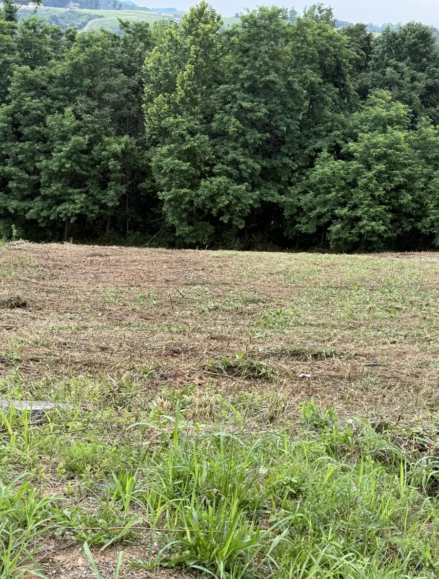 0 Mallard Rd, Hilham, TN 38568 - #3