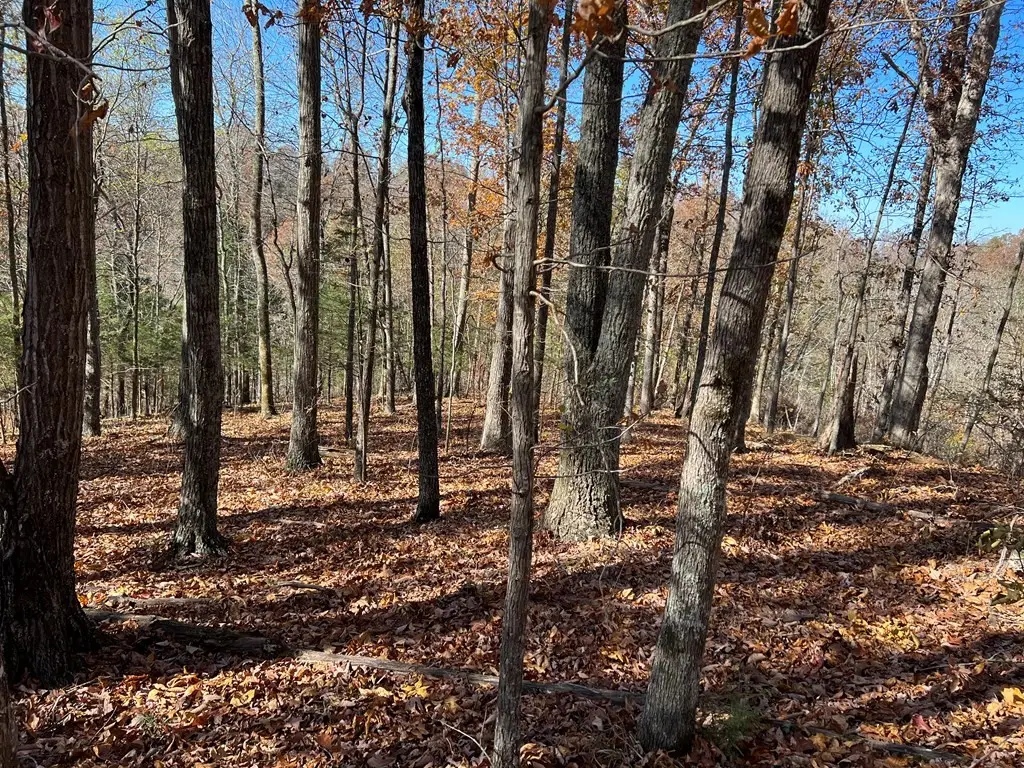 0 Old Hwy 53, Celina, TN 38551 - #1