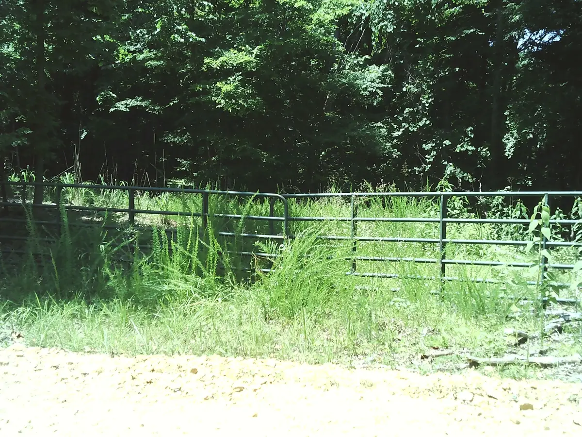0 Hargis Rd, Bumpus Mills, TN 37028 - #1