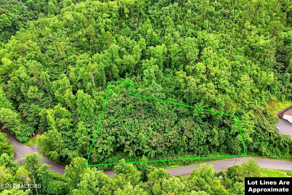 127 Beech Branch Rd, Gatlinburg, TN 37738 - #1