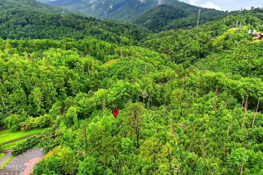 127 Beech Branch Rd, Gatlinburg, TN 37738 - #3