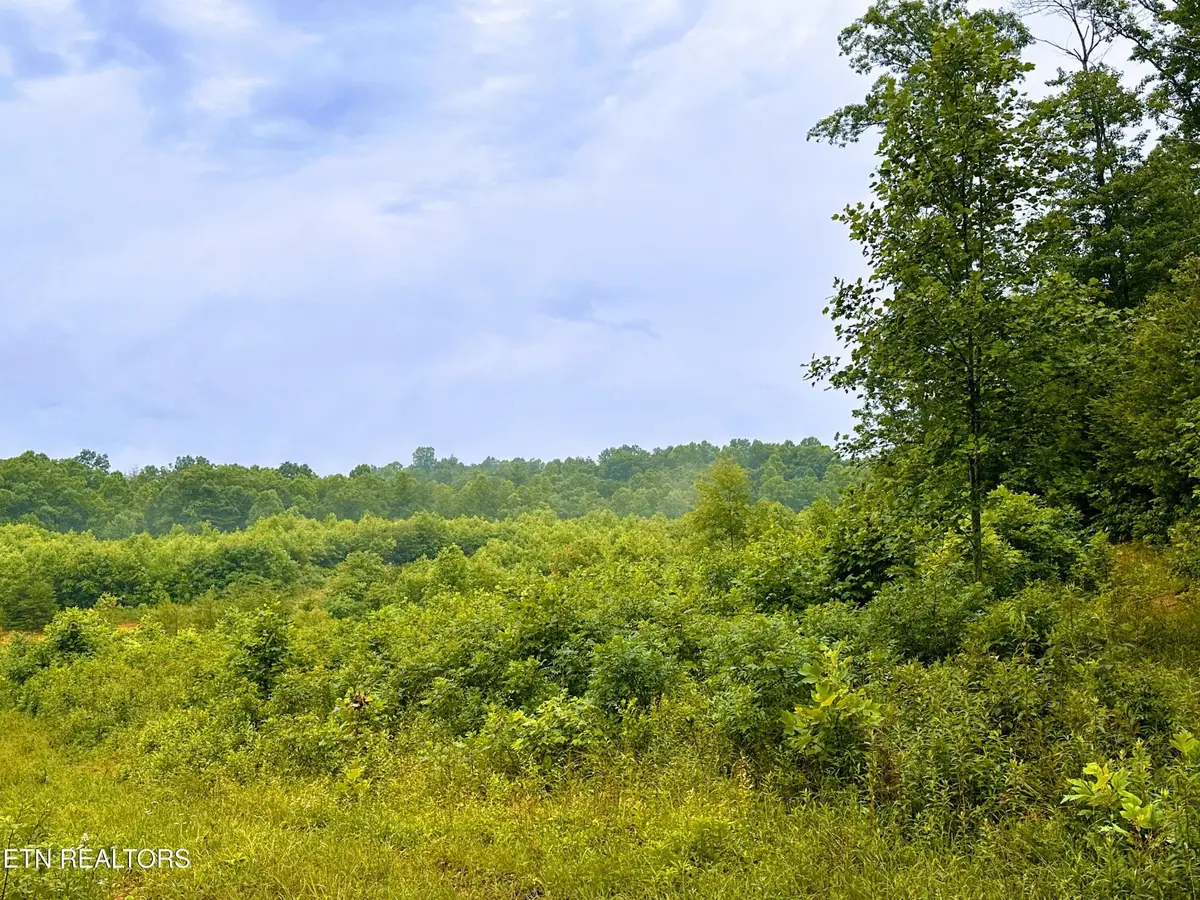1344 Chestnut Ridge Rd, Allardt, TN 38504 - #1