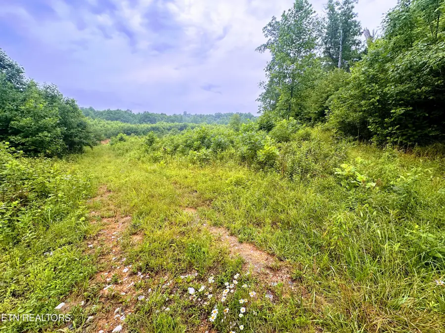 1344 Chestnut Ridge Rd, Allardt, TN 38504 - #2