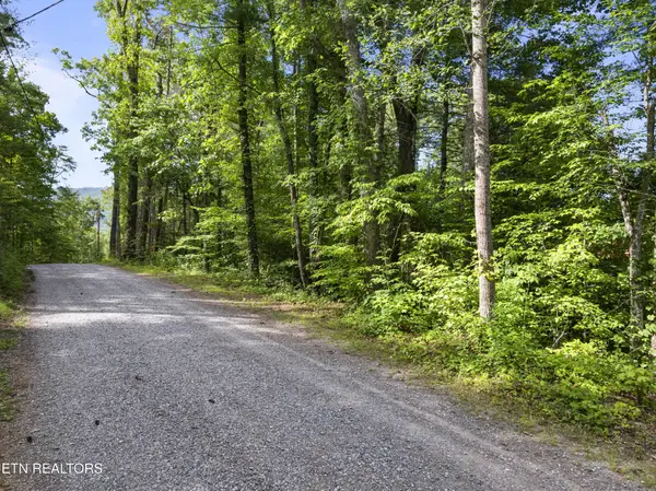 0 Grouse Top (lot 3) Rd, Walland, TN 37886