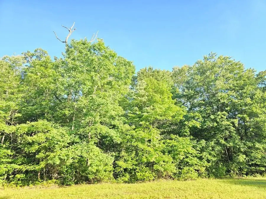 0 Laurel Loop N, Monterey, TN 38574 - #2