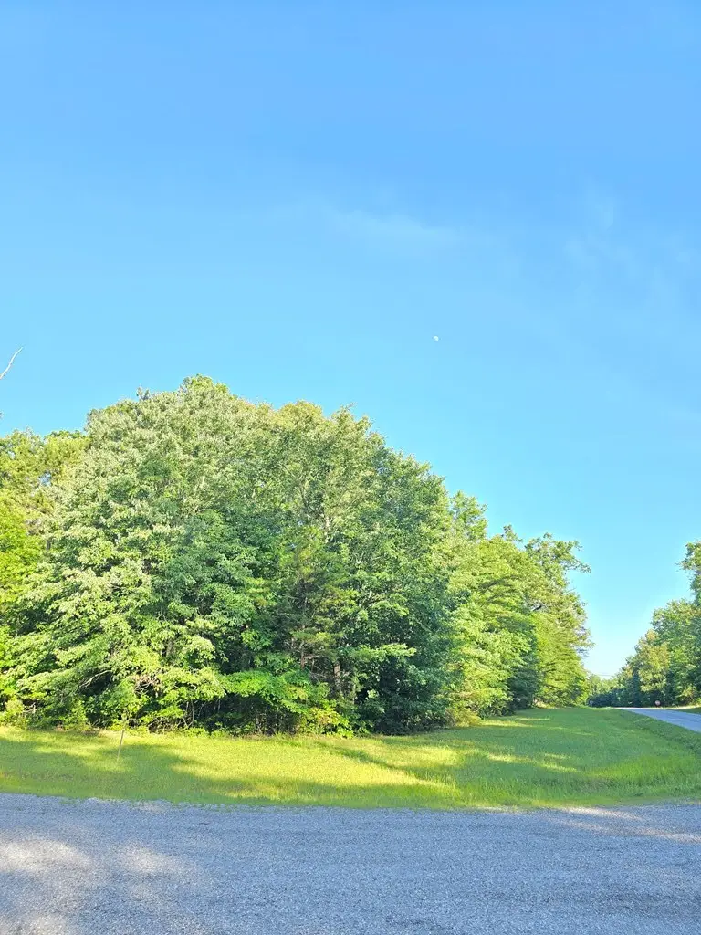 0 Laurel Loop N, Monterey, TN 38574 - #3