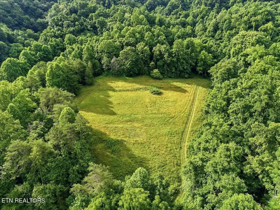3503 Highway 70 N, Eidson, TN 37731 - #3